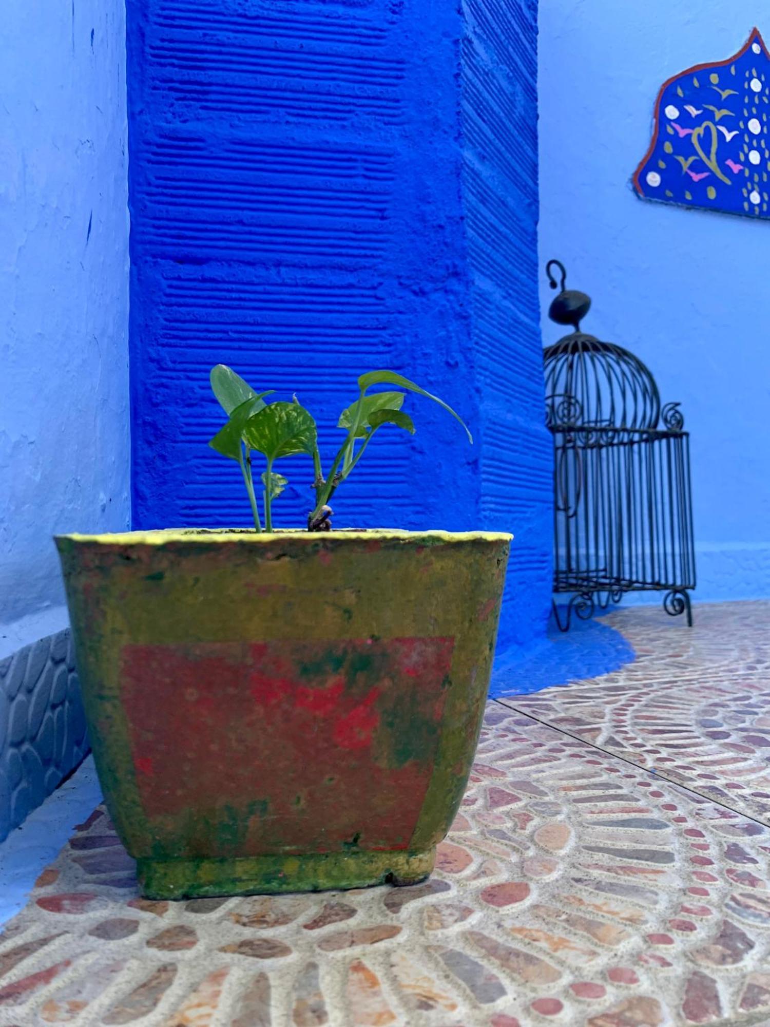 Dar Besmellah Hotell Chefchaouen Exteriör bild