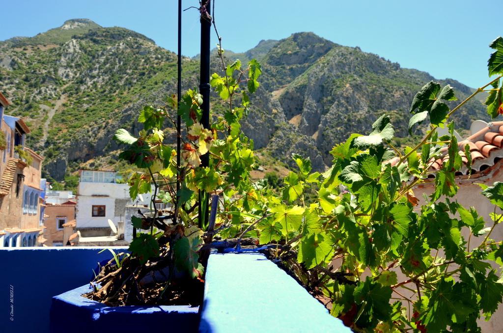 Dar Besmellah Hotell Chefchaouen Exteriör bild
